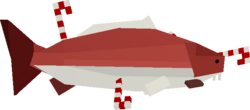 Candy Cane Carp