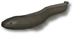 Electric Eel