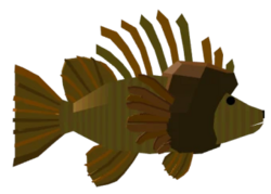 Mained Lionfish