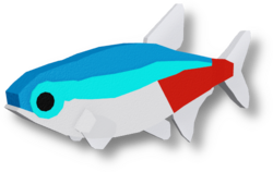 Neon Tetra