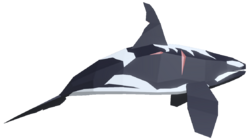 Orca