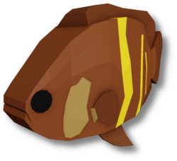 Oscar Cichlid