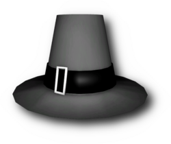 Pilgrim Hat