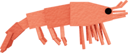 Prawn