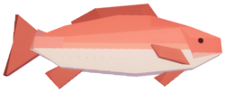 Red Snapper