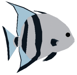 Spadefish