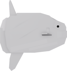 Sunfish