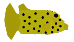 Yellow Boxfish